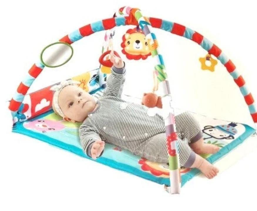 Activity Gym - Big Size